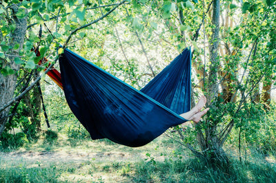 The coolest spots for your hammock