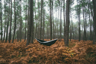 Swingin' outdoors without a guilty conscience: How to be considerate of nature